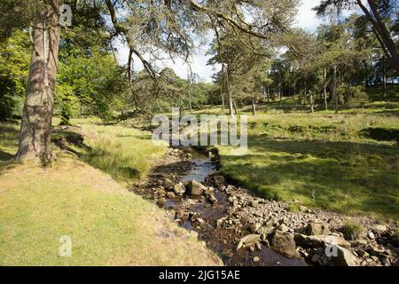 Trog des Bowland Valley im Wald von Bowland Gebiet von außergewöhnlicher natürlicher Schönheit Stockfoto