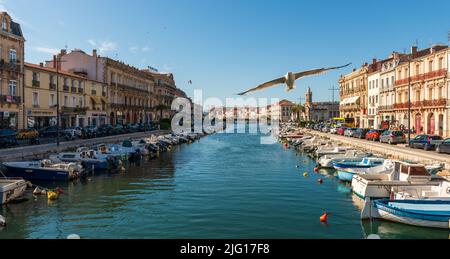 Der königliche Kanal an einem sonnigen Sommerabend, mit einer vorbeiziehenden Möwe, in Sete in Herault, Oskitanie, Frankreich Stockfoto