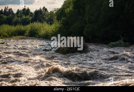 Die Sonne scheint auf schmutziges Hochwasser, das schnell im Fluss fließt, und nimmt einige kleine Bäume mit Wurzeln Stockfoto