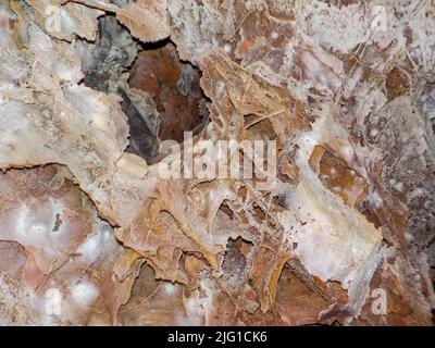 Boxwork Formation im Wind Cave National Park in den Black Hills von South Dakiota Stockfoto