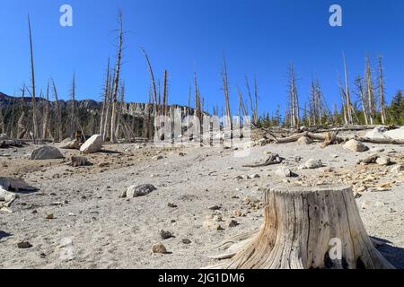 Blick auf den Horseshoe Lake, der sich etwas außerhalb der Stadt im Mammoth Lakes Basin, Kalifornien, befindet Stockfoto