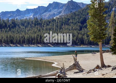 Blick auf den Horseshoe Lake, der sich etwas außerhalb der Stadt im Mammoth Lakes Basin, Kalifornien, befindet Stockfoto