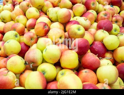 Obstladen. Gesunde Lebensmittel. Äpfel auf der Theke. Obstvitrine. Verkauf von Äpfeln. Vitaminhaltige Produkte Stockfoto