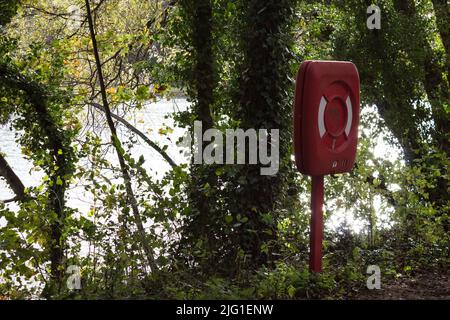 Lifebouy, Grün Hintergrund Stockfoto