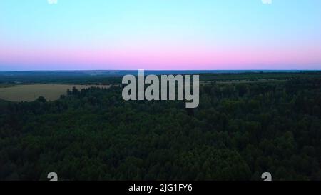 Luftaufnahme eines schönen grünen Waldes im Sommer auf blauem und rosa Sonnenuntergang Himmel Hintergrund. Clip. Fliegen Sie an einem Sommerabend über die Landschaft Stockfoto