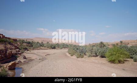 Staubige Wüstenstraße mit niedrig wachsenden Büschen und Pflanzen auf blauem Hintergrund. Aktion. Schöne Sommernatur Stockfoto