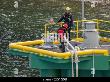 Skagway, AK - 6. Juni 2022: Hafenarbeiter schleppen die schweren Seile, um das Kreuzschiff an den Hafen zu sichern Stockfoto