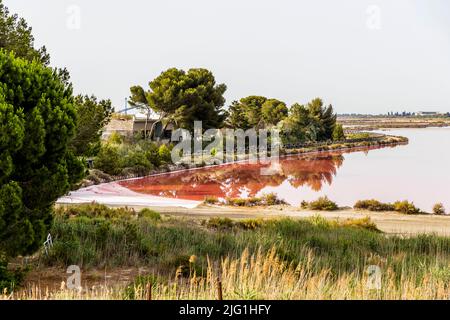 Die Salinen von Aigues Mortes (Frankreich) sind die größten Salzwiesen des Mittelmeers Stockfoto