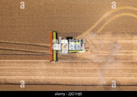 Luftaufnahme von oben nach unten über Mähdrescher, die auf Weizenfeld arbeiten. Agrargeschäft, ungarische Agrarlandschaft, Lebensmittelkrise. Stockfoto