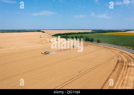 Luftaufnahme über Mähdrescher, die auf Weizenfeld arbeiten. Agrargeschäft, ungarische Agrarlandschaft, Lebensmittelkrise. Stockfoto