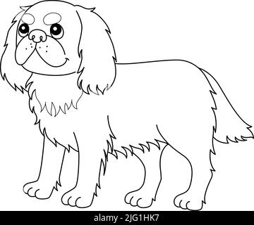 King Charles Spaniel Dog Isolated Coloring Page Stock Vektor