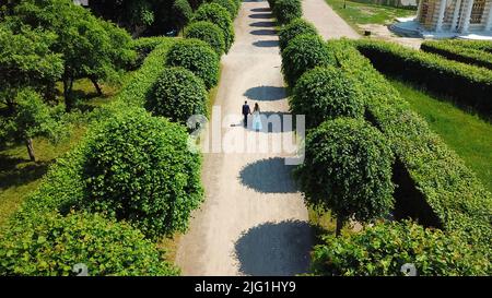 Luftaufnahme eine Braut in weißem Kleid und Bräutigam in Anzug zu Fuß zwischen Büschen in einem Stadtpark. Kreativ. Hochzeit an einem ruhigen Ort an einem Sommertag Stockfoto