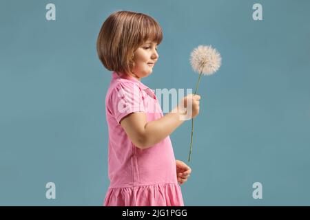 Profilaufnahme eines niedlichen kleinen Mädchens, das einen auf blauem Hintergrund isolierten Dandelion hält Stockfoto