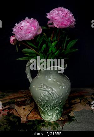 Pfingstrosen in Vase Stockfoto