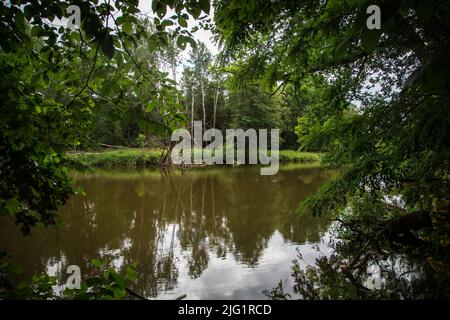 Lusatian Neisse, Brandenburg, Deutschland Stockfoto