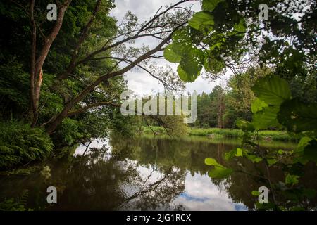 Lusatian Neisse, Brandenburg, Deutschland Stockfoto