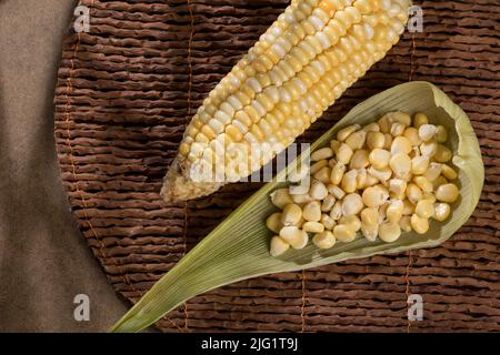 Zea mays - frischer Maiskolben und Kerne. Stockfoto