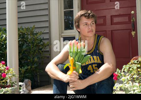 ANSEL ELGORT, DER FEHLER IN UNSEREN STERNEN, 2014 Stockfoto