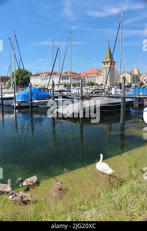 Eine Mutter mit 4 Kindern genießt den Sommer. Lindau der bayerische Hafen mit Skyline ist im Hintergrund Stockfoto