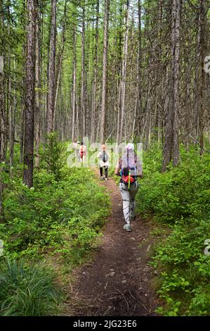 Junge Frauen wandern am sonnigen Sommertag auf dem Stanton Lake Trail in Great Bear Wilderness, Montana. Stockfoto