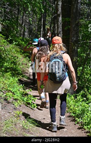 Junge Frauen wandern am sonnigen Sommertag auf dem Stanton Lake Trail in Great Bear Wilderness, Montana. Stockfoto