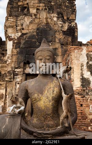 Affentempel, Pra Prang Sam Yod (Yot), lächelnde Buddha-Statue, Chedi (Stupa), Lopburi (Lop Buri), Thailand, Südostasien, Asien Stockfoto