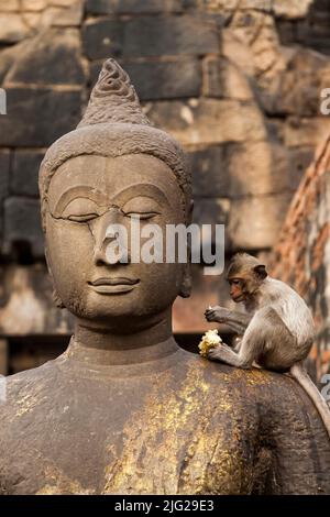 Affentempel, Pra Prang Sam Yod (Yot), lächelnde Buddha-Statue, Chedi (Stupa), Lopburi (Lop Buri), Thailand, Südostasien, Asien Stockfoto