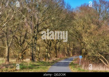 Straße im Wald an einem sonnigen Tag im Herbst mit Straßenschild auf Radweg. Geschwungene Straße, umgeben von Bäumen auf dem Land. Landschaft mit Stockfoto