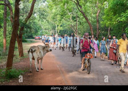 Auroville, Indien – 2.. Juli 2022: 500 aurovillianer gingen zum Banyan-Baum, als Reaktion auf die Bedrohung, der Auroville derzeit ausgesetzt ist, und um die zu unterstützen Stockfoto