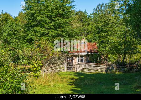 Idyllische alte Hütte mit einem Holzzaun in einem Laubwald Stockfoto