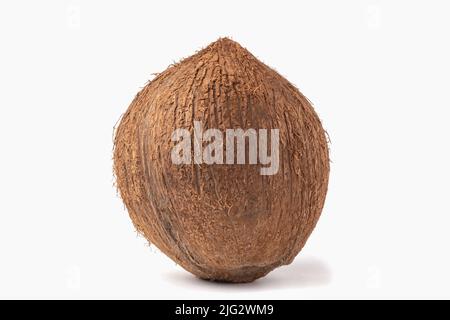 Ganze reife Kokosnuss isoliert auf weißem Hintergrund. Stockfoto