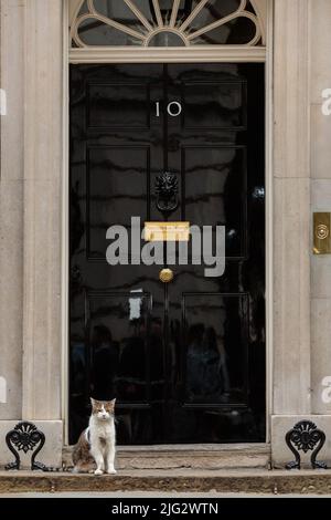 Downing Street, London, Großbritannien. 6.. Juli 2022. Larry, braun-weiß gestromte Katze und Chief Mouser zum Kabinettsbüro, sitzt vor der Haustür von Number Stockfoto