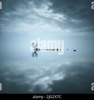 Insel in See, Lough Neagh, Nordirland, Vereinigtes Königreich Stockfoto