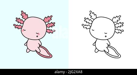 Axolotl Clipart für Malvorlagen und mehrfarbige Illustrationen. Entzückende Clip Art Axolotl. Vektor-Illustration eines Kawaii-Tieres für Malvorlagen Stock Vektor