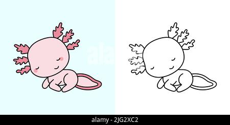 Kawaii Axolotl Clipart Multicolor und Black and White. Der Süße Kawaii Axolotl. Vektor-Illustration eines Kawaii-Tieres für Aufkleber, Drucke für Kleidung Stock Vektor