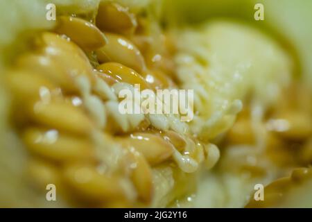 Das Fruchtfleisch einer Melone. Der innere Teil der Melone - ihr Herz. Die Verflechtung der Fasern, der Samen und des Fruchtfleisches. Stockfoto