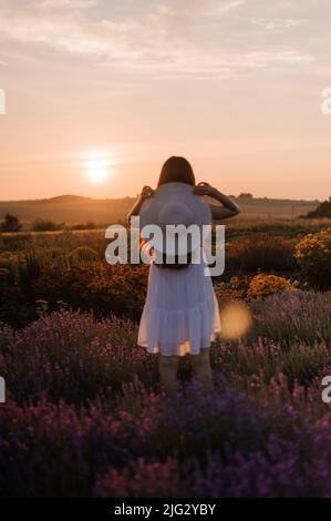 Ein Mädchen in einem weißen Kleid mit Hut steht bei Sonnenuntergang in einem Lavendelfeld Stockfoto