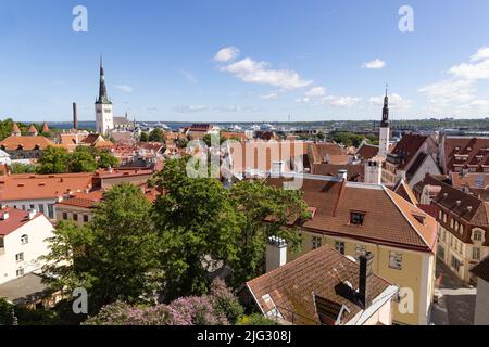 Skyline von Tallinn; Blick auf die Altstadt von Tallinn mit Blick auf den Hafen vom Toompea-Hügel im Sommer; Reisen nach Tallinn nach Estland; Europa Stockfoto