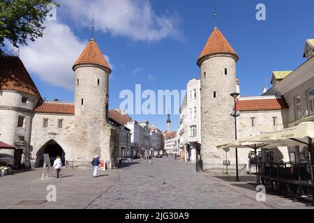 Tallinn Reisen; Tallinn Altstadt; Straßenszene am Viru Tor, mittelalterliche Stadtmauer aus dem 14.. Jahrhundert und Türme im Sommer, Tallinn Estland Europa Stockfoto