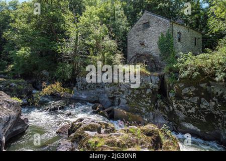 Cenarth Watermill und Cenarth Falls, Cenarth, Ceredigion, Wales Stockfoto