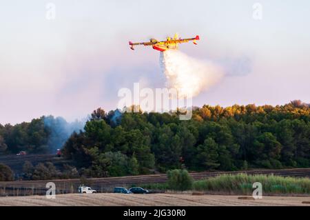 Canadaire versucht, im Sommer in der Garrigue in der französischen Gemeinde von Canzitanie ein Feuer zu löschen Stockfoto