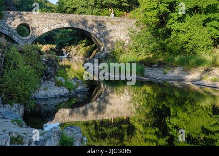 Die Brücke aus dem 18.. Jahrhundert über den Fluss Teifi in Cenarth, Ceredigion, Wales Stockfoto