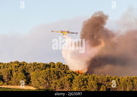 Canadaire versucht, im Sommer in der Garrigue in der französischen Gemeinde von Canzitanie ein Feuer zu löschen Stockfoto