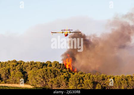 Canadaire versucht, im Sommer in der Garrigue in der französischen Gemeinde von Canzitanie ein Feuer zu löschen Stockfoto