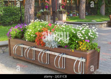 Blumenbeet mit Fahrradparkplatz in der Jomas Straße in Jurmala. Lettland Stockfoto