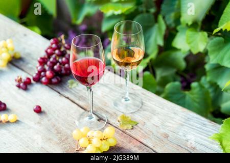 Gläser mit Weiß- und Rotwein und Traubenbeeren auf dem Holztisch in den Weinbergen, Weingut mit grünem Blatthintergrund. Weinprobe, Degustation Stockfoto