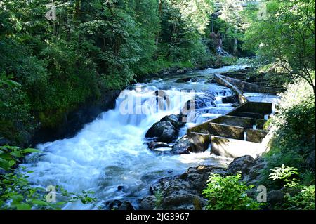 Die Tumwater Falls sind eine Reihe von Kaskaden am Deschutes River in Tumwater, Washington, USA. Stockfoto