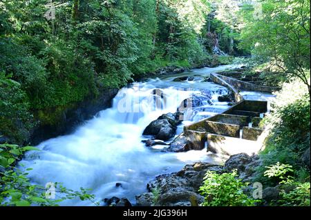 Die Tumwater Falls sind eine Reihe von Kaskaden am Deschutes River in Tumwater, Washington, USA. Stockfoto