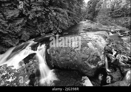 Die Tumwater Falls sind eine Reihe von Kaskaden am Deschutes River in Tumwater, Washington, USA. Stockfoto