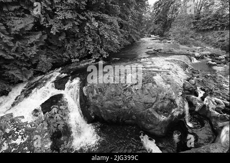 Die Tumwater Falls sind eine Reihe von Kaskaden am Deschutes River in Tumwater, Washington, USA. Stockfoto